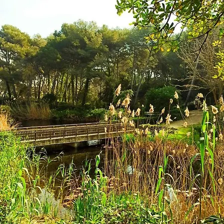 A Pieds Nus Jusqu'A La Mer Six-Fours-les-Plages Exterior foto